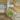 Philodendron Snowdrift TC thumbnail