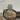 Tephrocactus Geometricus 3 Heads thumbnail