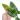 Variegated philodendron subhastatum starter plant growers choice thumbnail