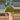 Epidote Quartz thumbnail