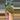 Epidote Quartz thumbnail