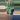 PL558: Philodendron Belle Isle thumbnail