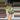 667 monkey tail thumbnail