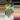 5514 senna metidonalis thumbnail