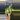 Verticillata inner var thumbnail
