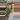 PL755: Var ZZ thumbnail