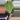 Clari 6 inch large thumbnail