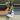 Gerrardanthus machrorhizus thumbnail