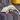 xanthe thumbnail