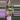 0625 + 1386 thumbnail
