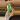 Hq Brazilian fluorite thumbnail