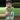 Pee pee thumbnail