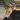 Flapper thumbnail