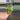 Venus Fly Trap  thumbnail