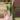 Simpo Albo Mother plants thumbnail
