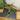 Alocasia Frydek Tattoo/Emerald Tide thumbnail