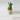 Icecream Cone  thumbnail