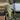Huge! Monstrose Strombocactus on graft thumbnail