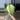 monstera mint thumbnail