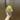 Bumble Bee ( Secret ) thumbnail