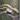 Weeping willow thumbnail