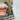 Roadkill Cactus - Seller’s Choice thumbnail