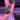 Mutant pap 2 x Gatorbod thumbnail