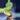 Syngonium Variagated mango allusion thumbnail