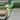 #5 Syngonium Three Kings thumbnail