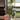 Alocasia Balloon Heart 108 thumbnail