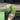 Monstera Mint 4” thumbnail