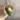 Philodendron Micans Aurea/Pink Var thumbnail