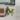 3382 Lac queen midori thumbnail