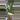 PL556: Albo Heartleaf thumbnail