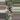 PL558: Latifolia Silver Indo thumbnail