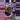Pink Black Velvet  thumbnail