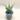 XXL Tower variegated thumbnail