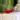 Bloody Mary Premium Shrimp x4 thumbnail