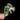 M. Albo mid cut thumbnail