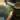 Crystal x pap thumbnail