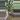 PL94: Leonensis Splash thumbnail