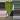 PL82: Anthurium Doc Block NOID x Blue Velvet thumbnail