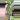 PL81: Anthurium Pap x Carla thumbnail