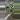 PL128: Tomatoensis trellis thumbnail