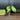 Monstera Aurea thumbnail