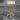 Philodendron Billietiae Variegated TC Grower's Choice thumbnail
