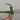 Philodendron Ring of Fire thumbnail