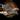 Littles_exotic_jumpers thumbnail