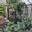 Cardinsgarden