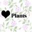 Black.heart.plants